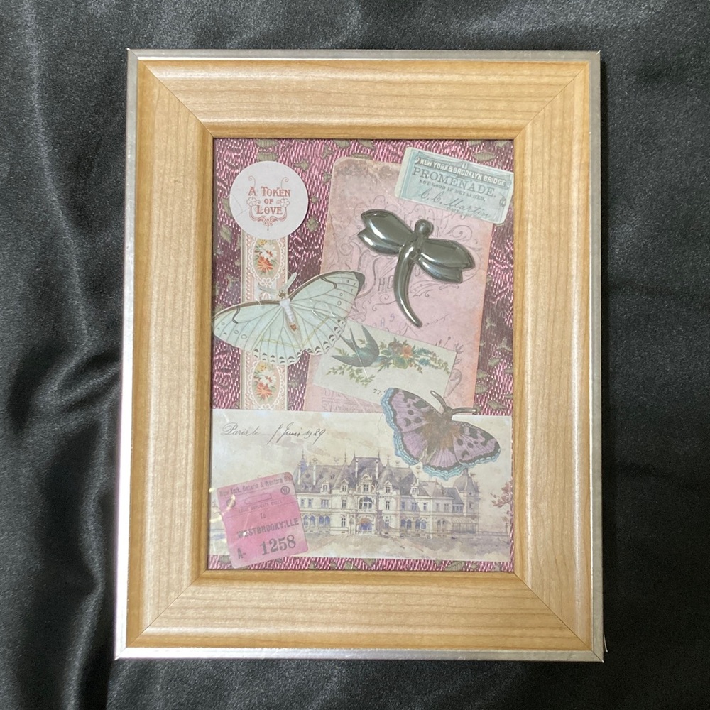 Framed Butterfly and Dragonfly Collage